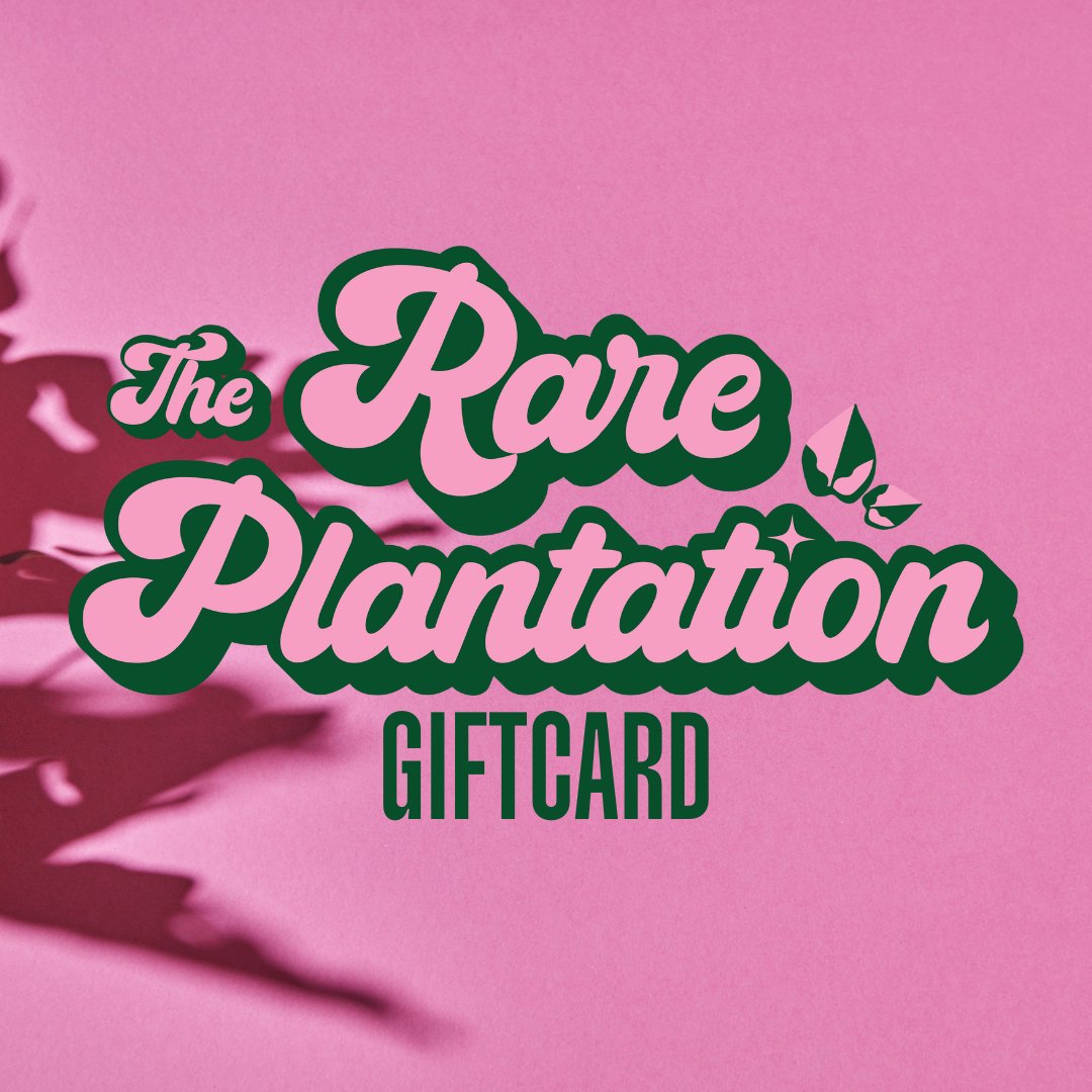 The Rare Plantation Gift Card